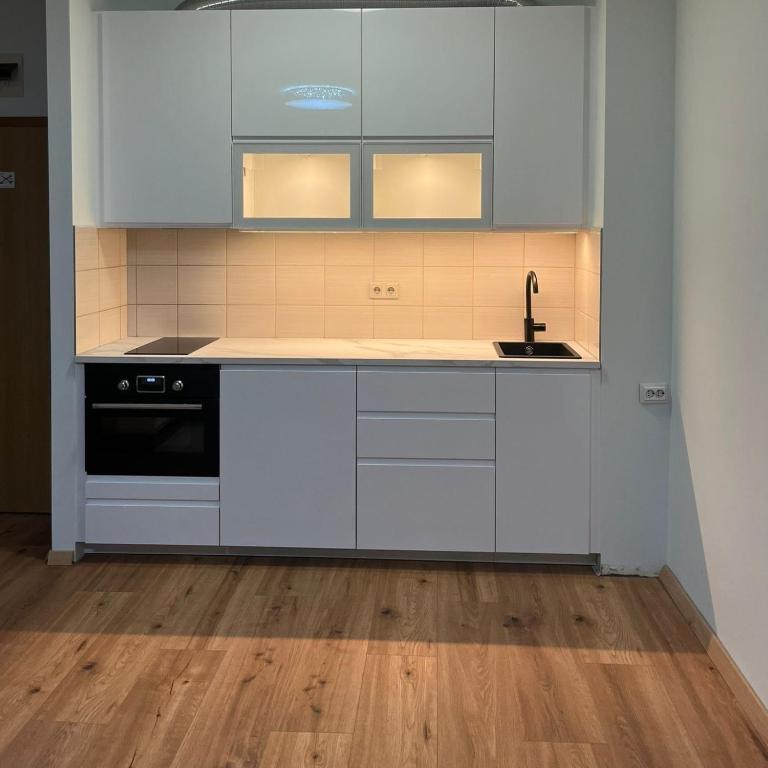 BlueBird Apartments - Apartment - 4