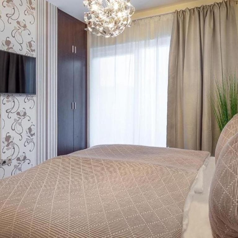BlueBird Apartments - Apartment - 6
