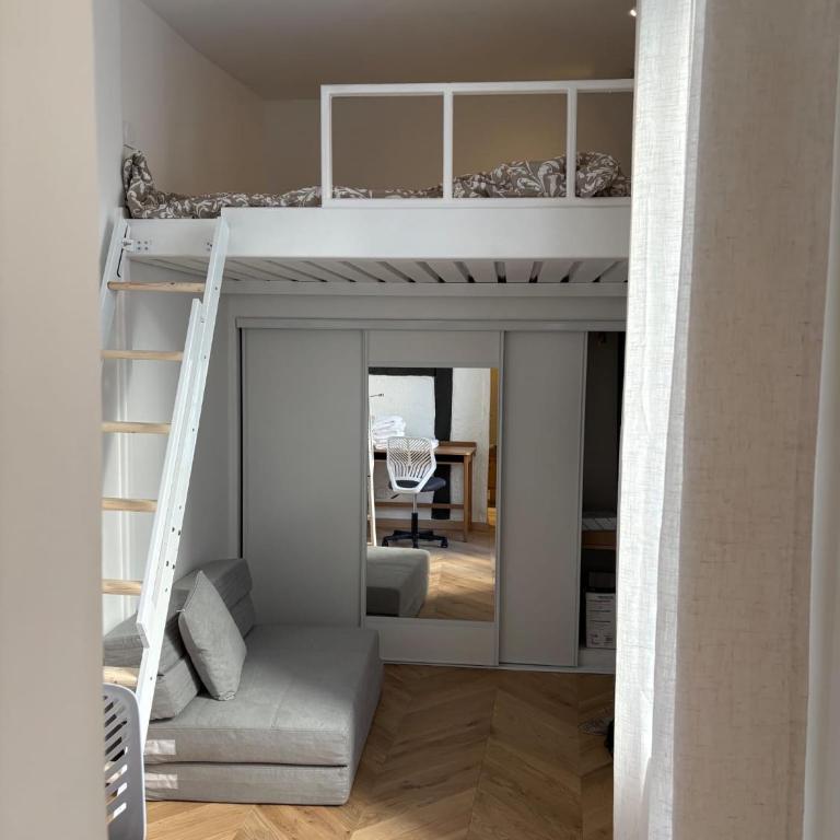 Studio quartier jardin de plante - Studio - 1