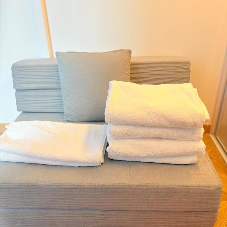 Studio quartier jardin de plante - Studio - 16