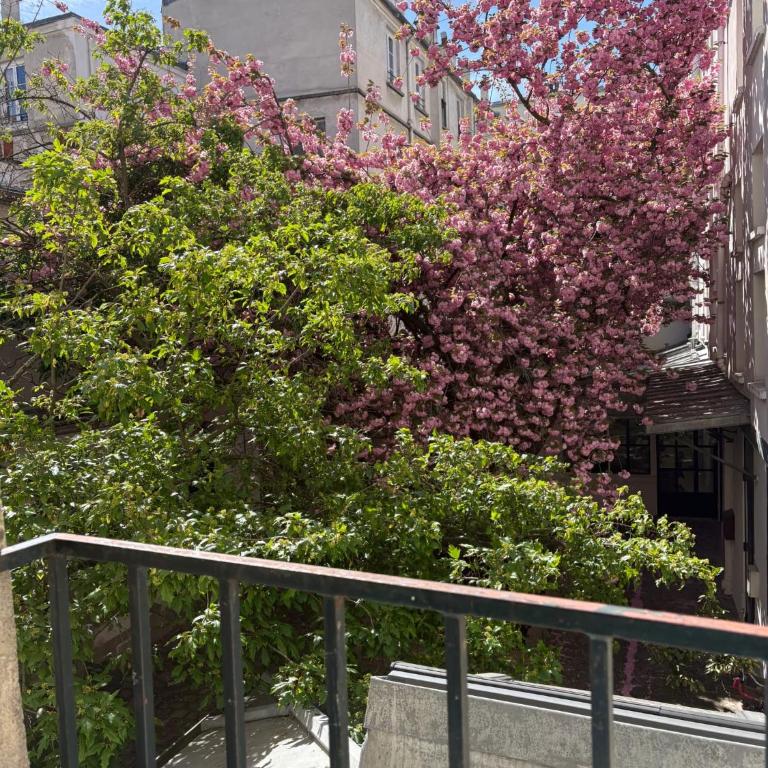 Studio quartier jardin de plante - Studio - 18