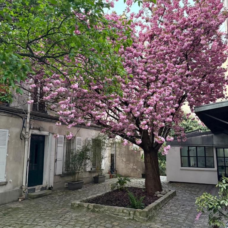Studio quartier jardin de plante - Studio - 20
