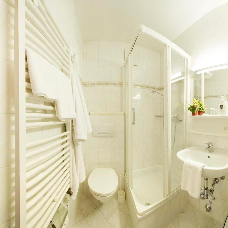 Kneipp-Kurhotel Steinle - Einzelzimmer - 2