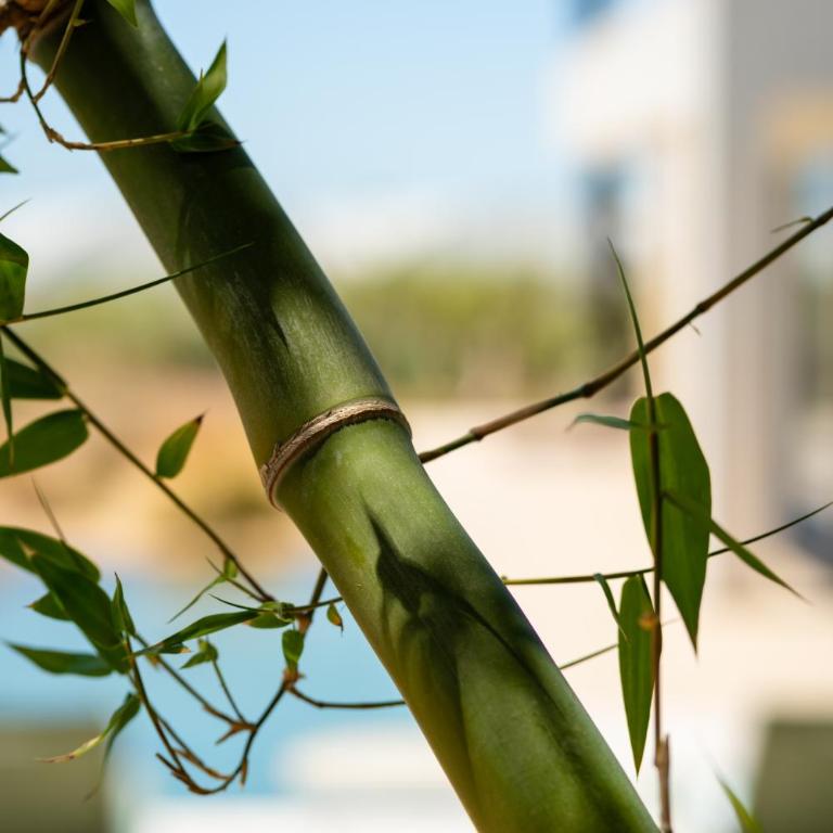 Maulli Relais - Villa - 44