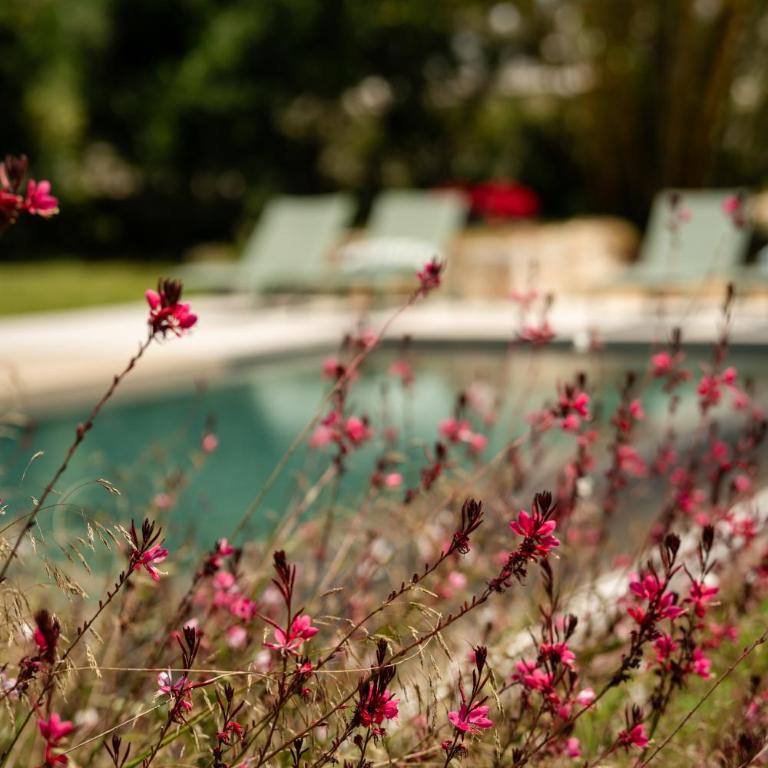 Maulli Relais - Villa - 23