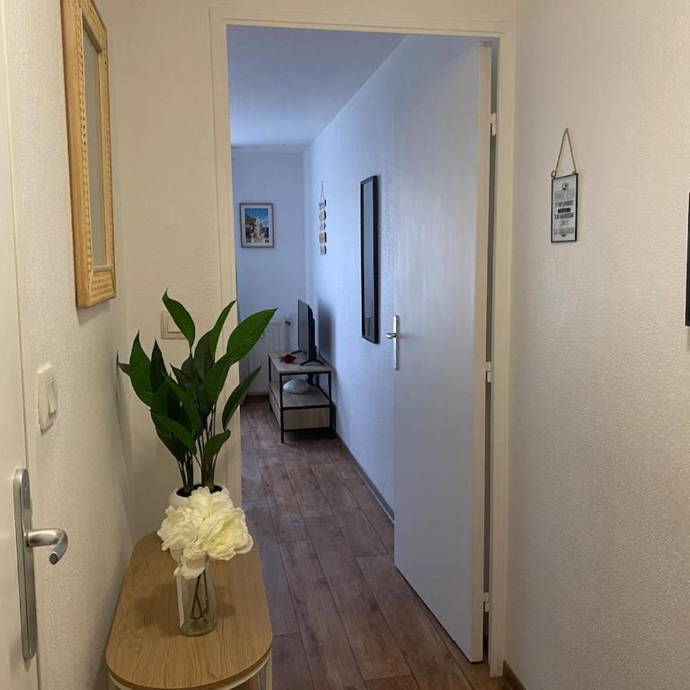 Studio cozy à Fréjus - Côte d'Azur - Monolocale - 3