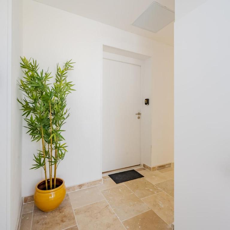 2 Studios au même étage avec parking - Appartement - 10