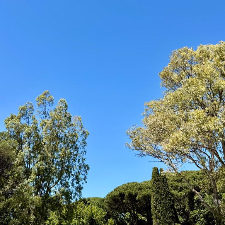 NEW Studio - Casa Alba, Saint Tropez - Apartment mit 1 Schlafzimmer - 36