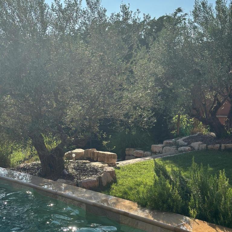 La Bastide des Oliviers - Villa - 27