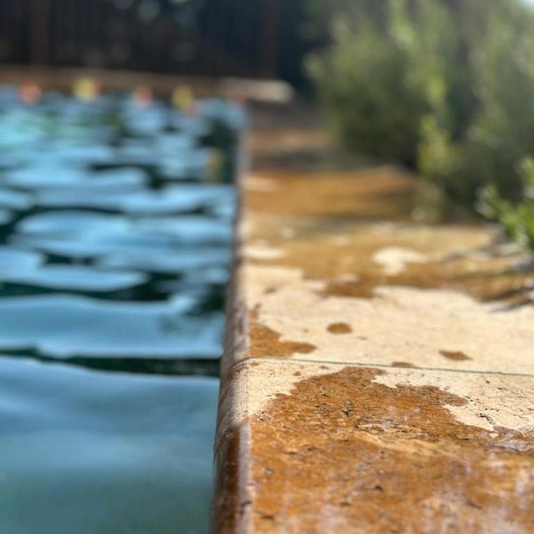 La Bastide des Oliviers - Villa - 45
