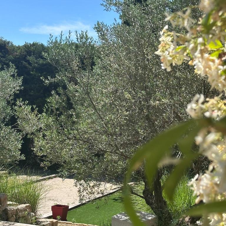 La Bastide des Oliviers - Villa - 51