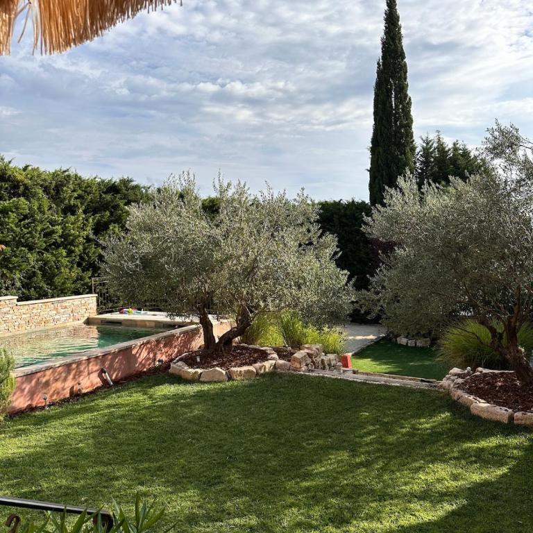 La Bastide des Oliviers - Villa - 56
