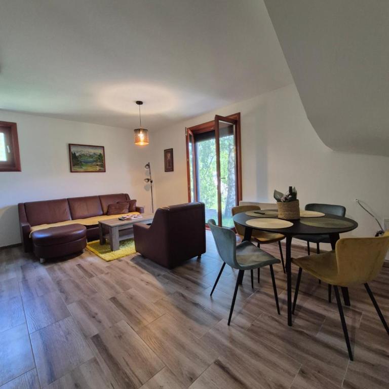 Apartmani Šopalović - Apartman s 1 Spavaćom Sobom i Terasom - 4