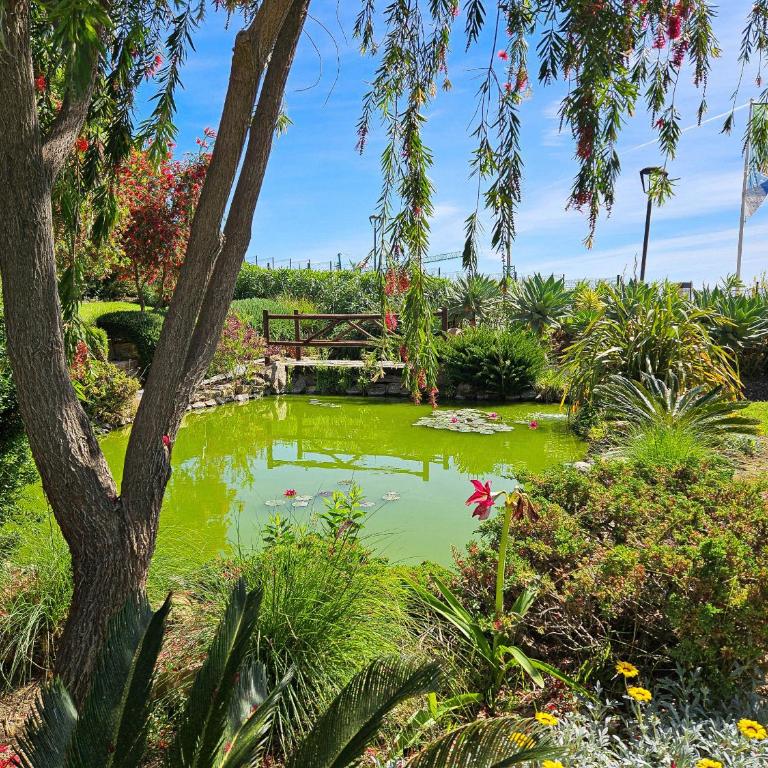 La Cala Apartment, 3 pools, gym, sauna - Appartamento con Vista - 46