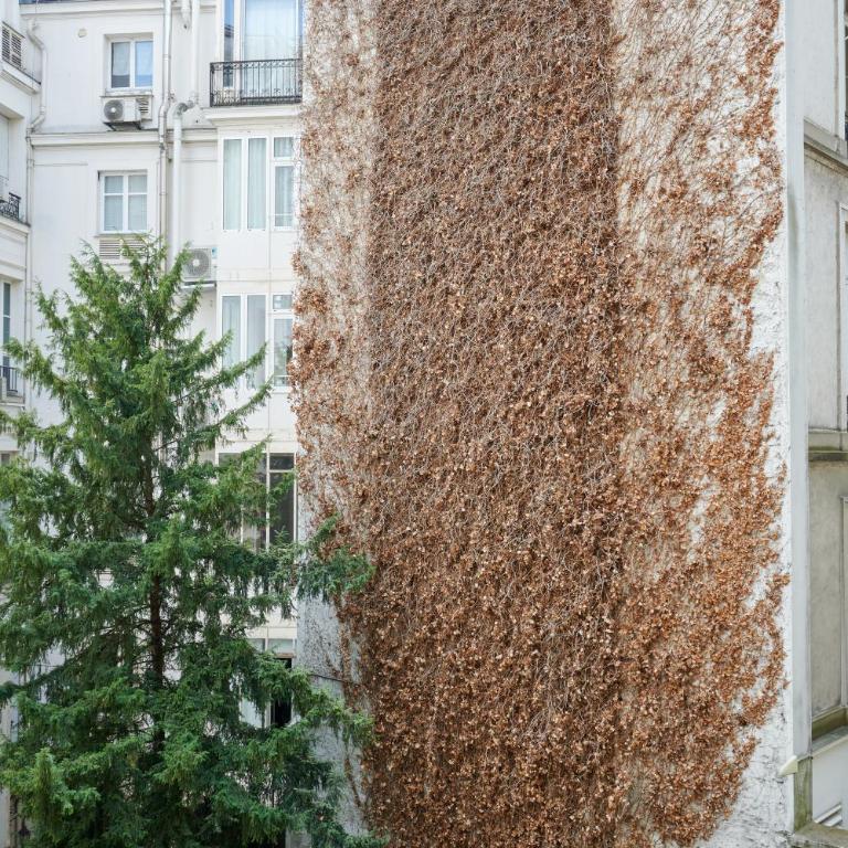 Avenue Montaigne - Dream And Luxe - Appartement 2 Chambres - 11