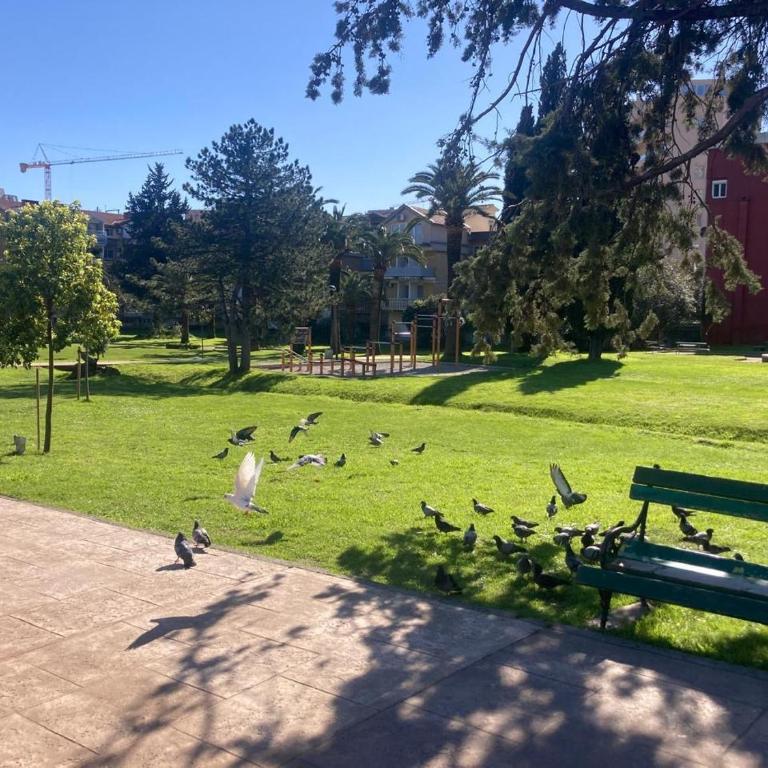 Two Bedroom Apartment near Slovenska Beach - Two-Bedroom Apartment - 4