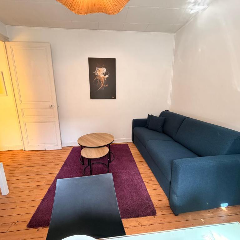 Tellier D appartement cosy en hyper centre - Appartement 2 Chambres - 5