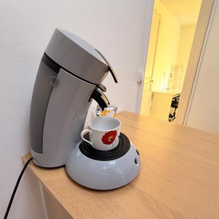Tellier D appartement cosy en hyper centre - Appartement 2 Chambres - 6