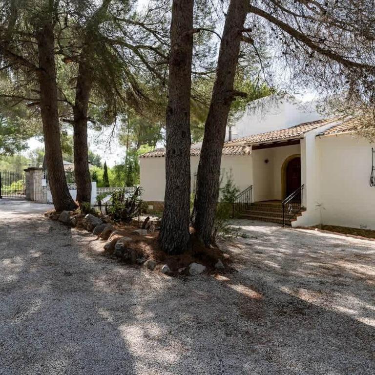 Villa Rosa - Villa - 32