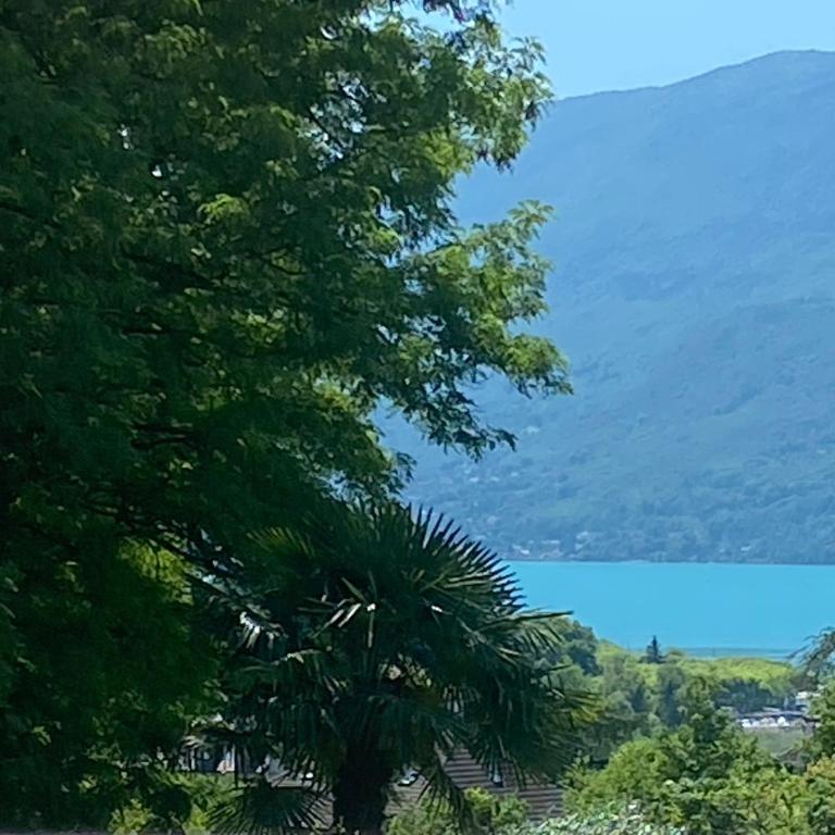 Au Cœur De La Riviera Des Alpes T2 - Superior Apartment mit Sauna - 21