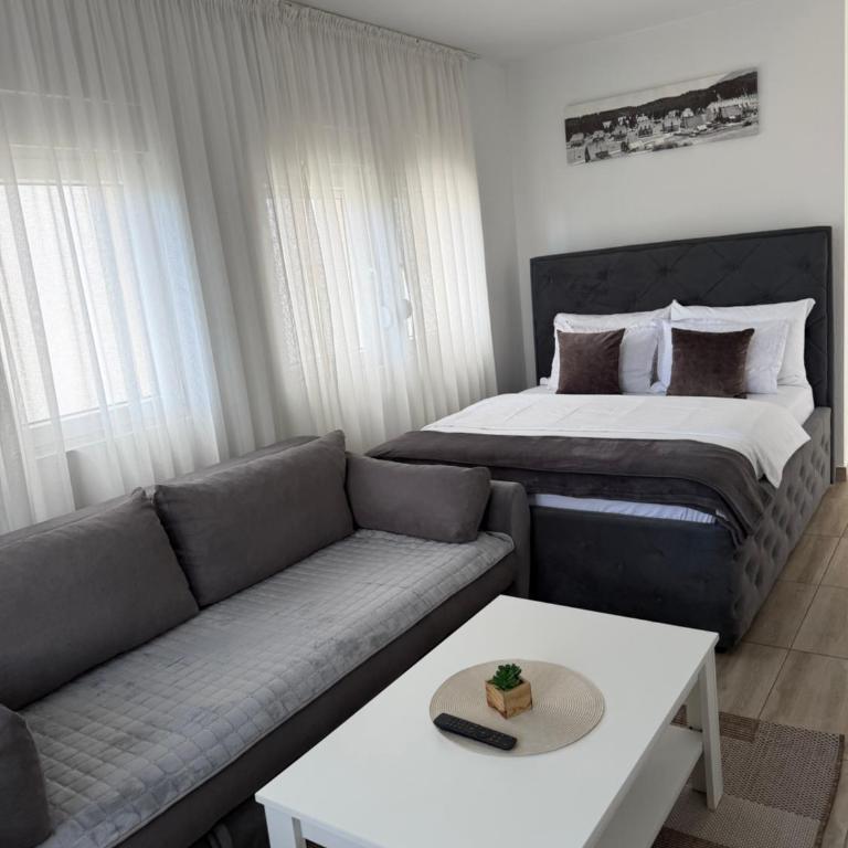 Lux Studio Apartments - Standard Studio - 5