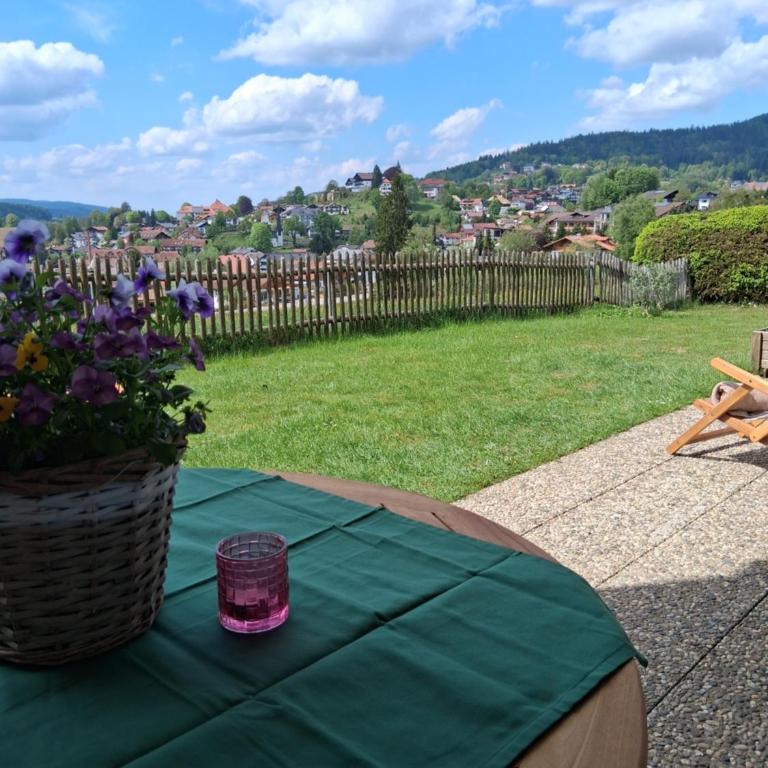 Ferienwohnung Lotta in Bodenmais - Apartment mit 1 Schlafzimmer - 19