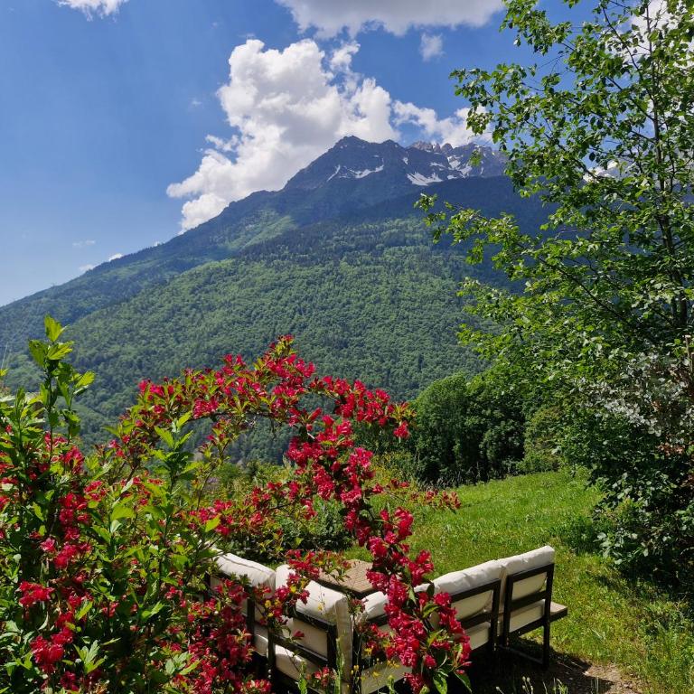 Chalet Amuse - Chalet - 5