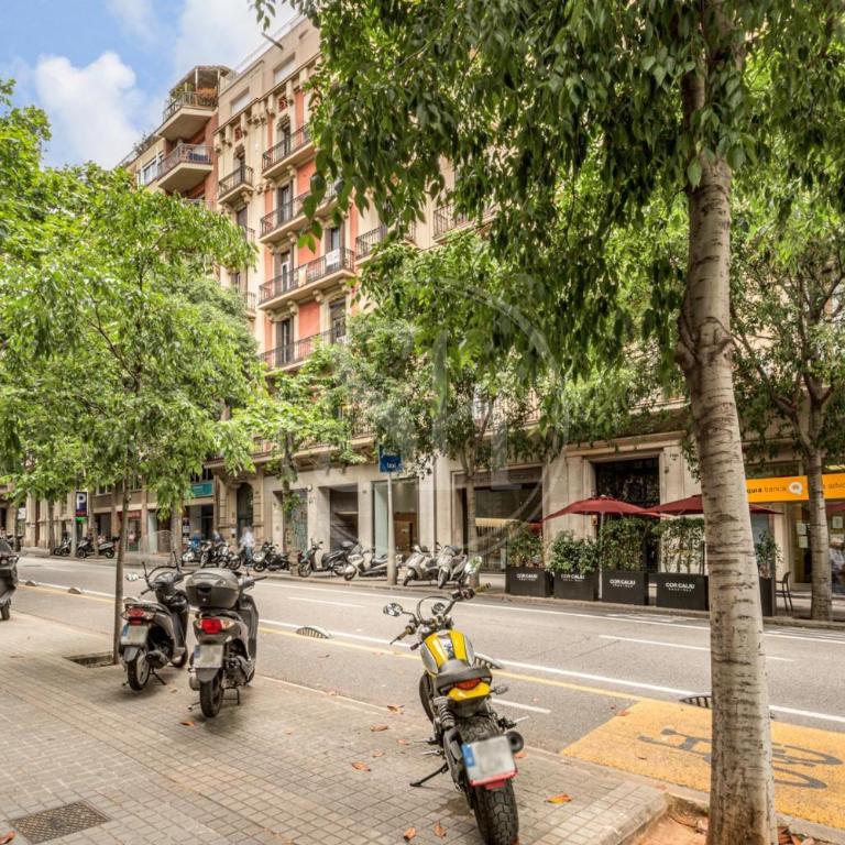 Spacious Apartment Near Passeig de Gràcia - Apartamento de 3 dormitorios - 7