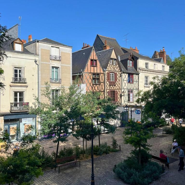 Grand T2 Tours hypercentre - Place du Monstre - Apartment mit Stadtblick - 15