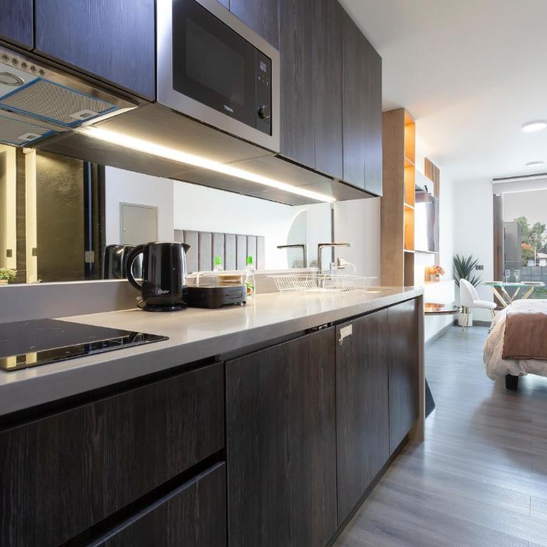 Oasis in Santiago, free parking, pool and gym - Apartamento Deluxe de 1 dormitorio - 6
