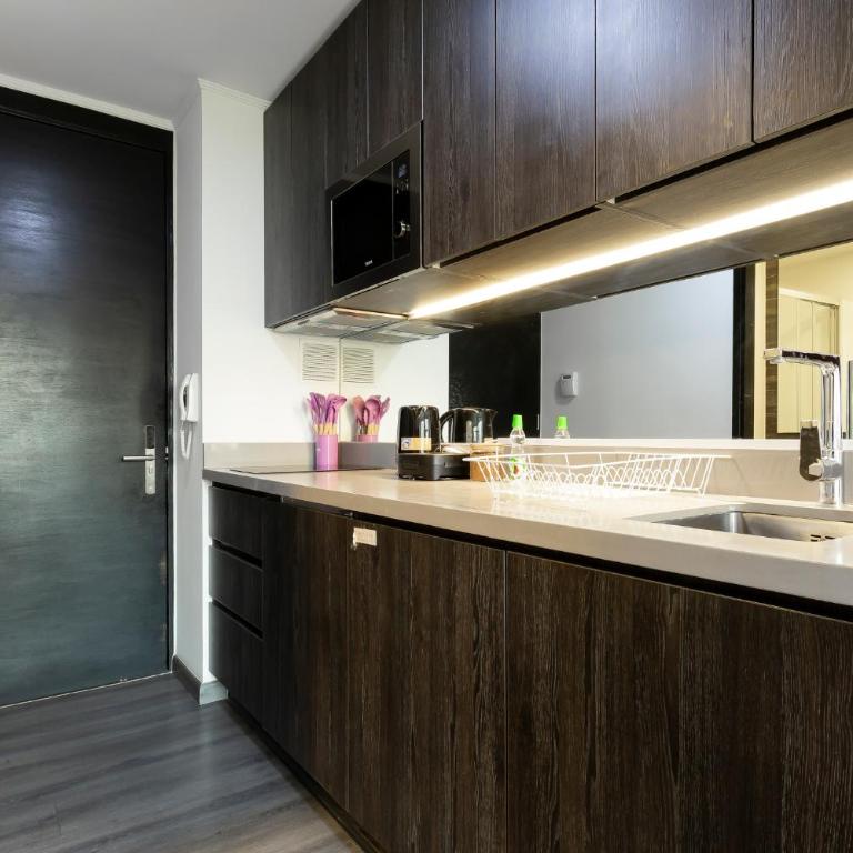 Oasis in Santiago, free parking, pool and gym - Apartamento Deluxe de 1 dormitorio - 9