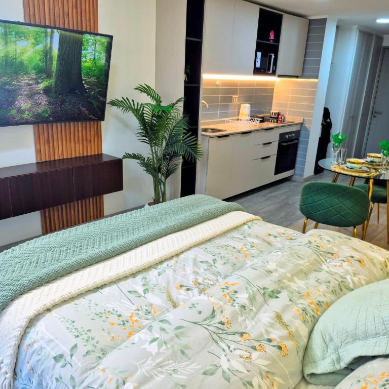 Oasis in Santiago, free parking, pool and gym - Apartamento Deluxe de 1 dormitorio - 11