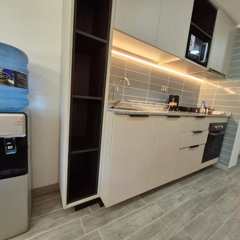 Oasis in Santiago, free parking, pool and gym - Apartamento Deluxe de 1 dormitorio - 1