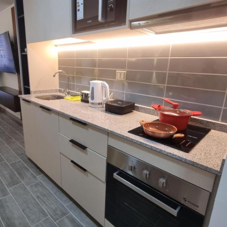 Oasis in Santiago, free parking, pool and gym - Apartamento Deluxe de 1 dormitorio - 4