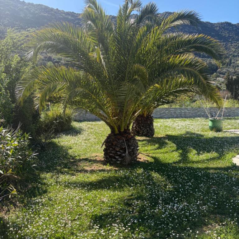 Exceptionnelle Villa Le Club - Maison 5 Chambres - 11