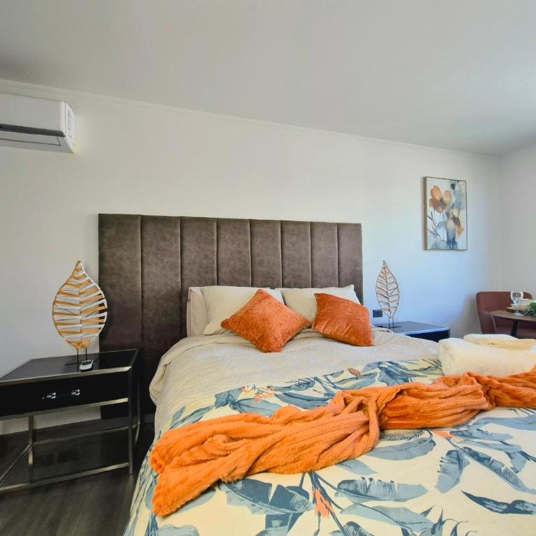 Oasis in Santiago, free parking, pool and gym - Apartamento de 1 dormitorio - 6