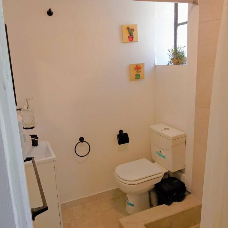Moderno con patio privado, a pasos de Patio Olmos - One-Bedroom Apartment - 22