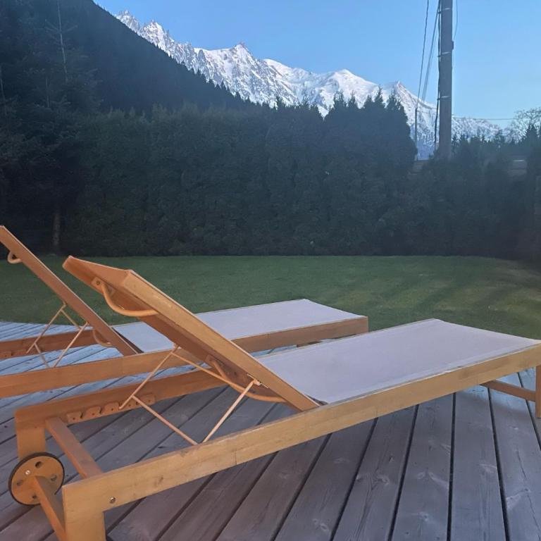 Premium 200sqm Chalet in Chamonix Valley ! - Chalet - 60