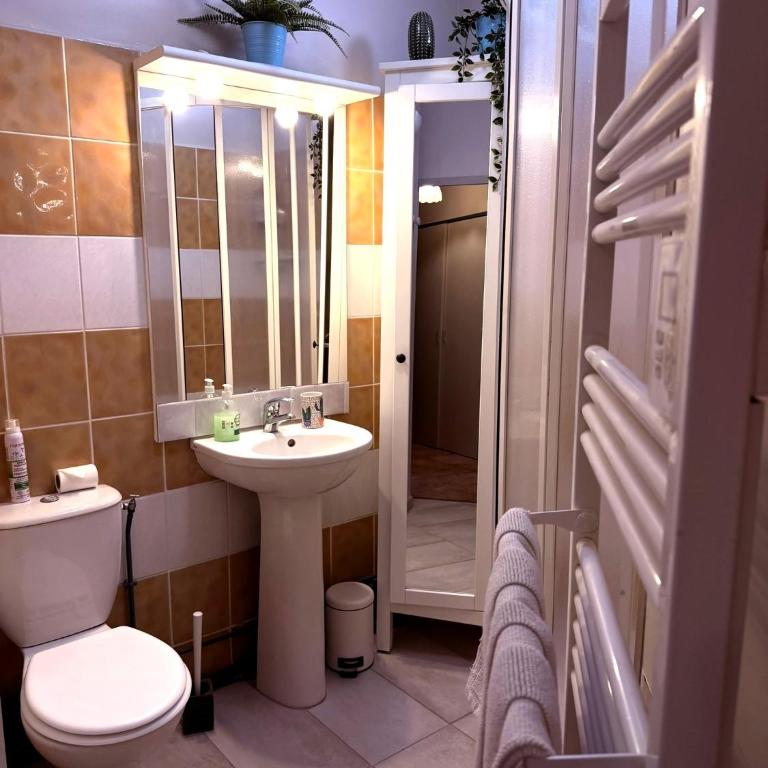 Meublé classé Carmes , entrée autonome, wifi, climatisé, petit parking privé - Studio-Apartment - 11