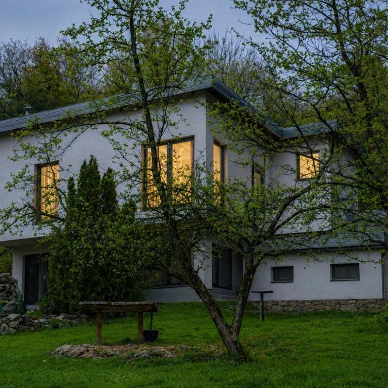 Sarajevo Hills-POOL&JACUZZI private garden Home-Near Old Town - Apartman sa 1 Spavaćom Sobom - 5