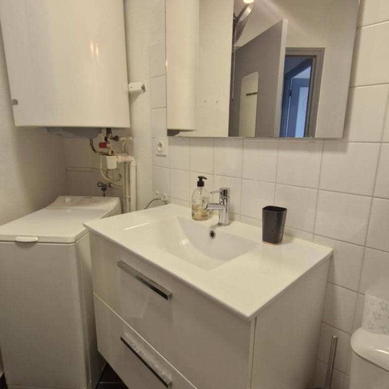 Grand T3 face au port avec sa terrasse , parking privatif - Two-Bedroom Apartment - 6