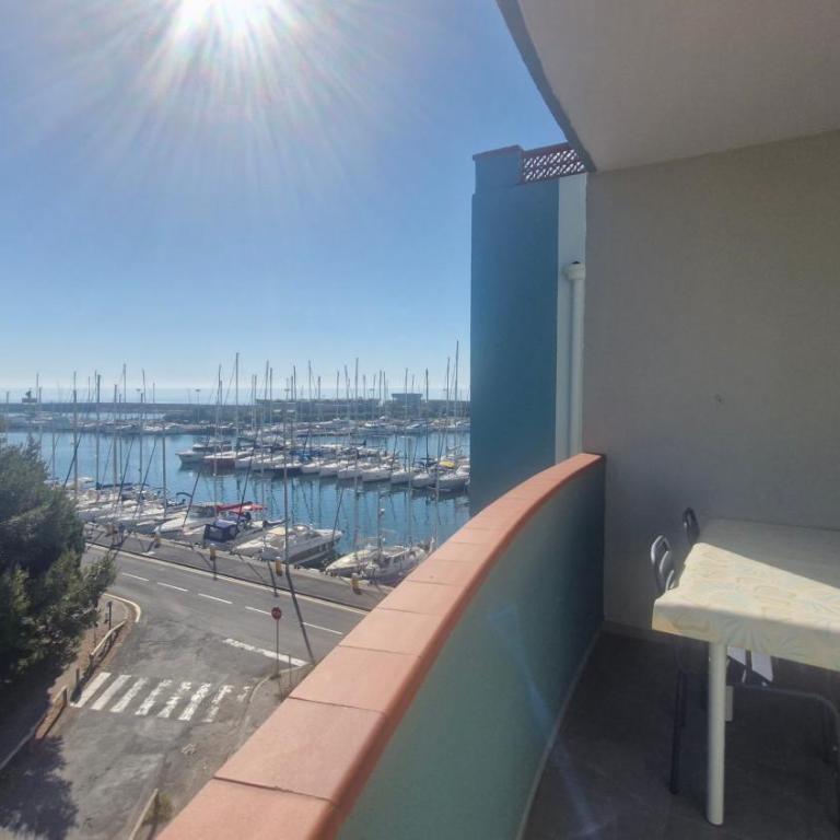 Grand T3 face au port avec sa terrasse , parking privatif - Two-Bedroom Apartment - 12