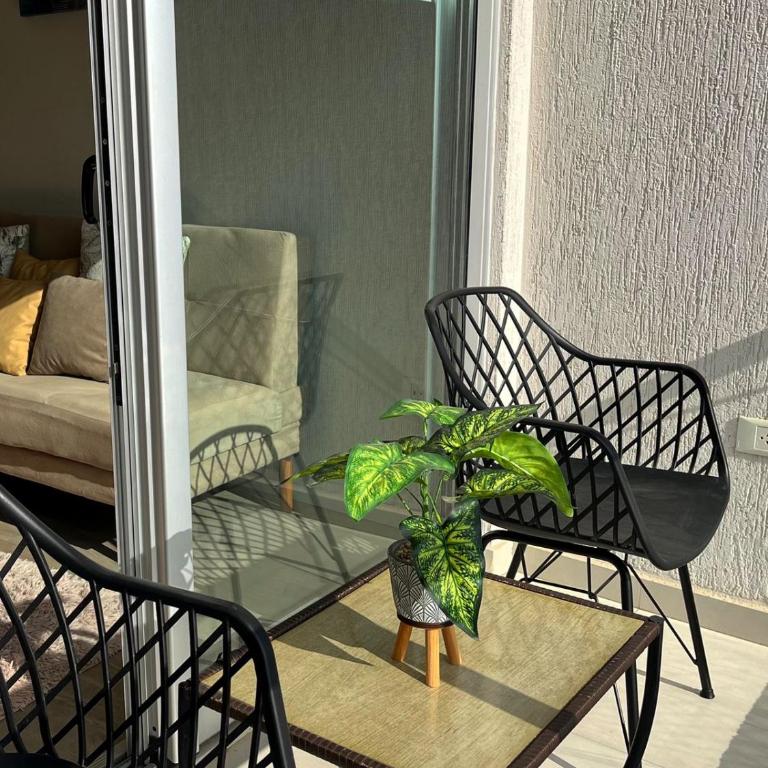 Executive Apartment - Apartamento con vistas - 11