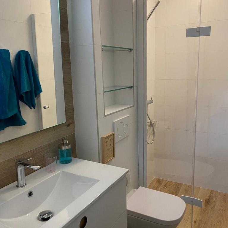 Le Clos Saint Pierre, maison au coeur de Toulouse - Townhouse mit 3 Schlafzimmern - 15