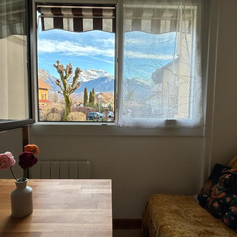 Vue montagnes, à 5 mn du lac et de la piste cyclable,lit King size, Park gratuit - Appartement 1 Chambre - 3