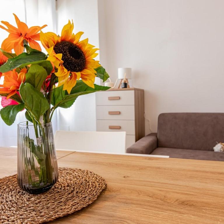 buoz-central river view with 3 bedrooms, 2 bathrooms - Apartment - 24