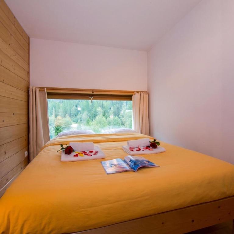 Résidence Grand Roc - Ancolies 220 - Happy Rentals - Apartamento con vistas a las montañas - 13