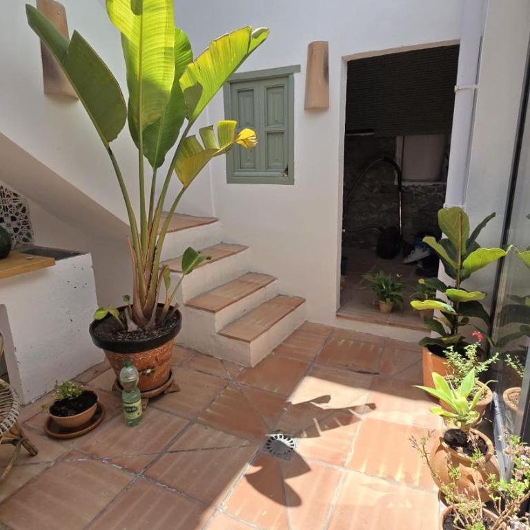 Casa Terraza - Casa - 27