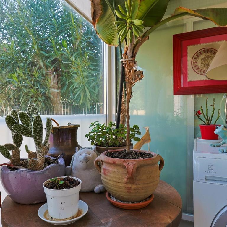 Émeraude - Apartamento de 2 dormitorios - 19