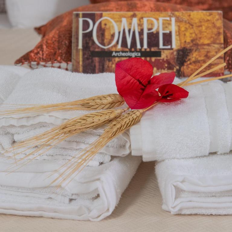 Core Amalfitano Pompeii City Suites - Camera King Superior - 3